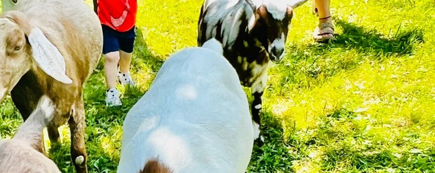 Hoof It Goat Treks
