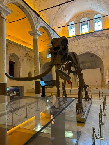 Burdur Natural History Museum