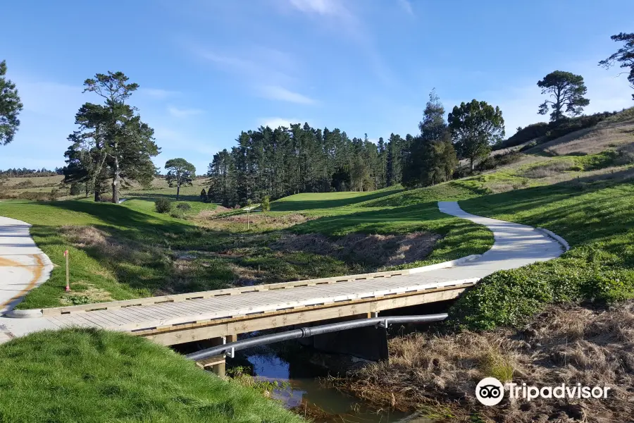 Wainui Golf Club