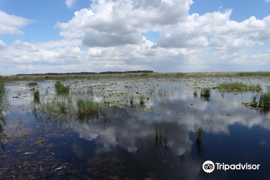 Kiskunsagi Nemzeti Park