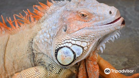 Aquaworld Aquarium & Reptile Rescue Centre