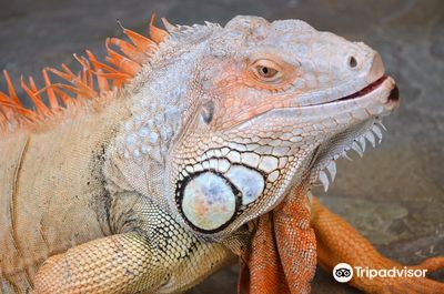 Aquaworld Aquarium & Reptile Rescue Centre
