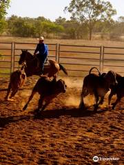 Katherine Outback Experience