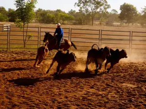 Katherine Outback Experience