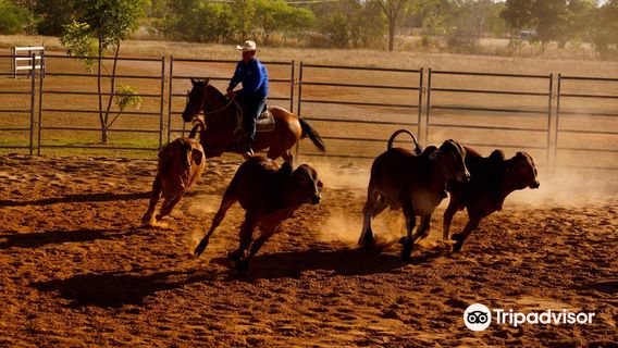 Katherine Outback Experience