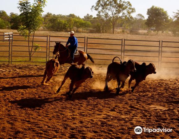 Katherine Outback Experience