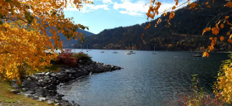 ネルソンのホテル