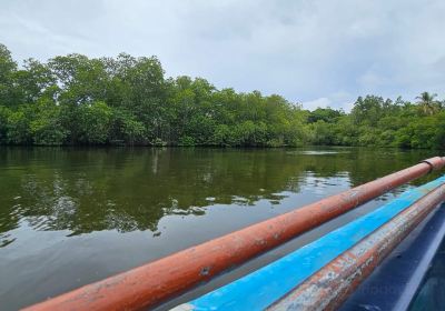 Madu River