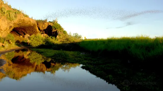 Cueva de los Murcielagos