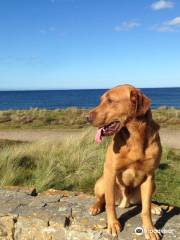 Findhorn Beach