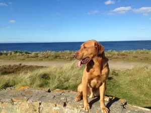 Findhorn Beach