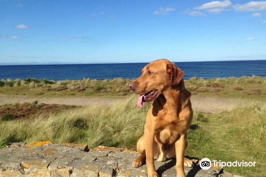 Findhorn Beach