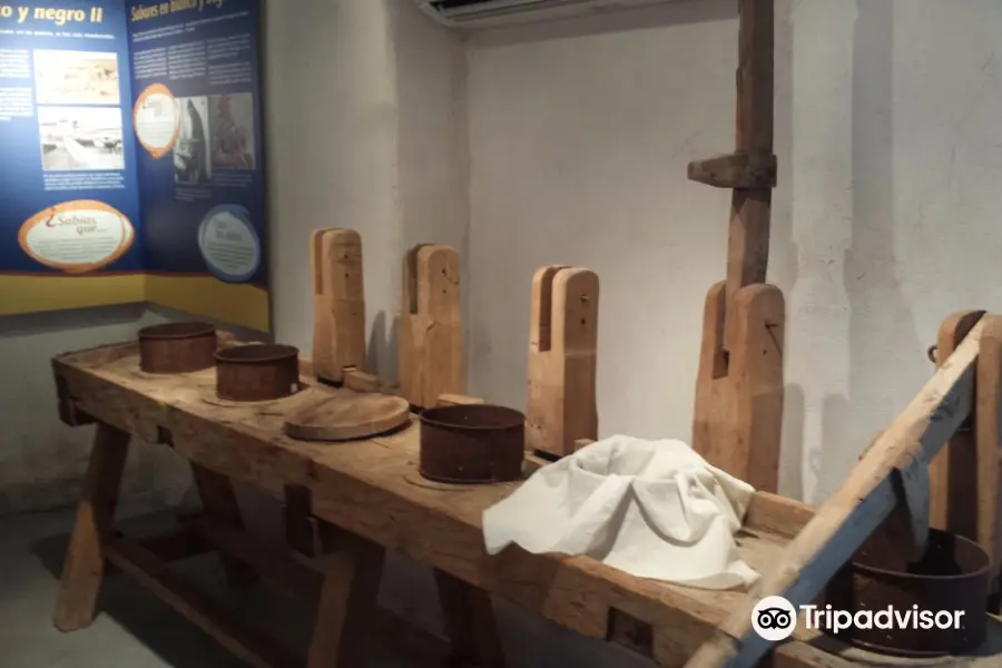 Manchego Cheese Museum and Art Collection