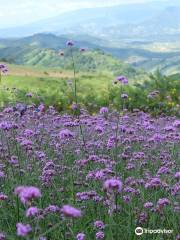 Khao Kho Wind Farm