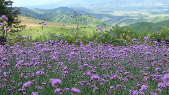 Khao Kho Wind Farm