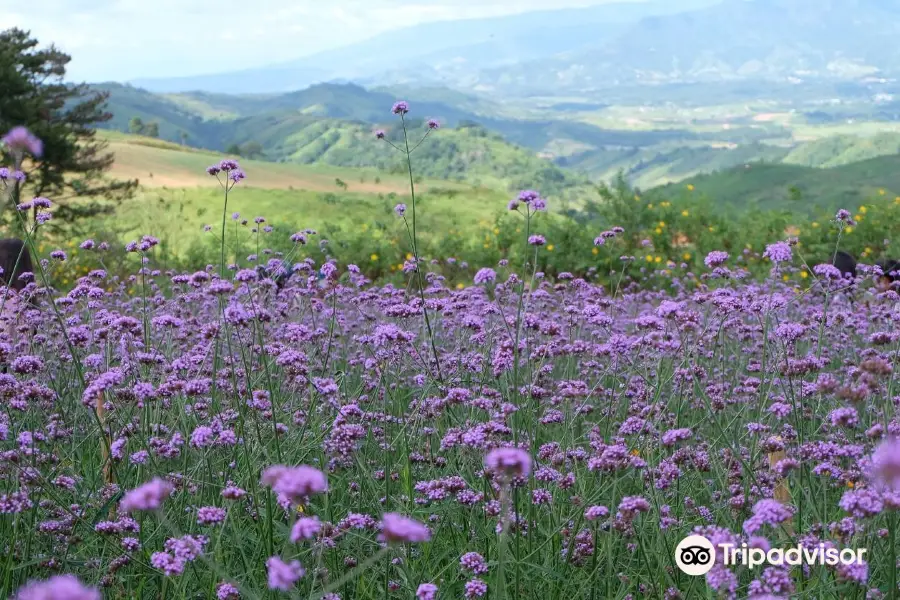 Khao Kho Wind Farm