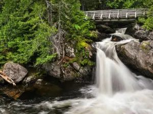 Mount Carleton Provincial Park