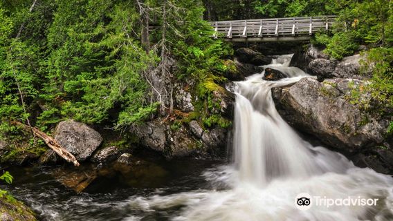 Mount Carleton Provincial Park