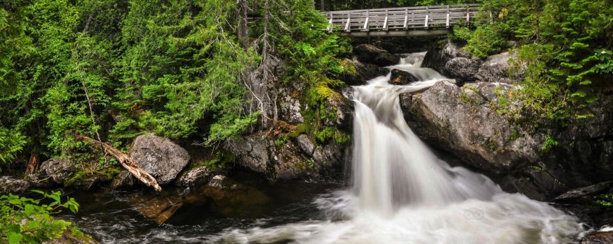 Mount Carleton Provincial Park