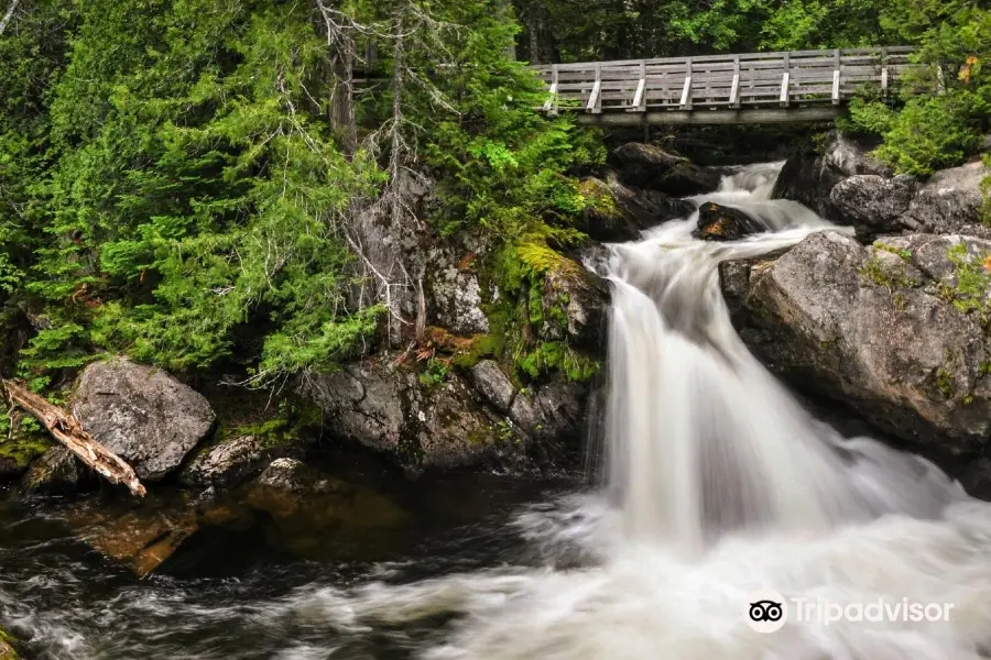 Mount Carleton Provincial Park