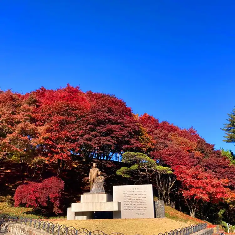 Sejong