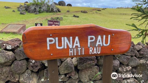 Puna Pau