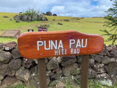 Puna Pau