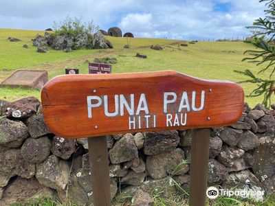 Puna Pau