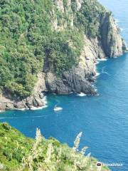 Parco naturale regionale di Portofino (Naturpark Portofino)