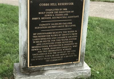 Cobb's Hill Park