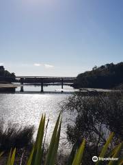 Hapuka Estuary Walk