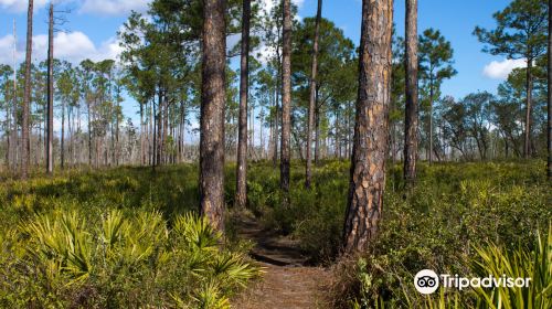 Tiger Creek Preserve