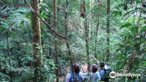 Amboro National Park