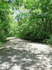 Clear Creek Natural Heritage Center