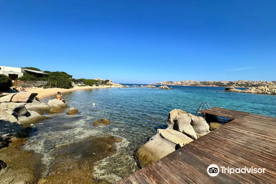 Spiaggia Testa di Polpo