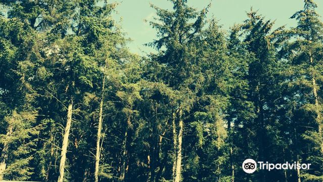 Delta Force Paintball Newcastle