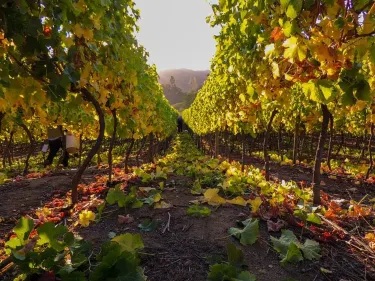 San Antonio Province