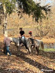 Jordan Hollow Stables