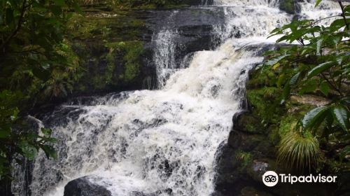 McLean Falls