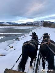 AJ DeRosa's Snake River Vintage Sleigh Rides