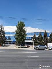 Kristall Ice Sports Palace