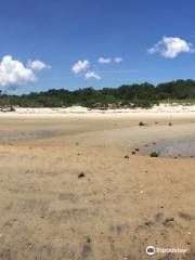 Monomoy National Wildlife Refuge