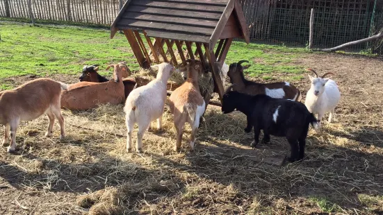 Kinderboerderij de Heihoeve