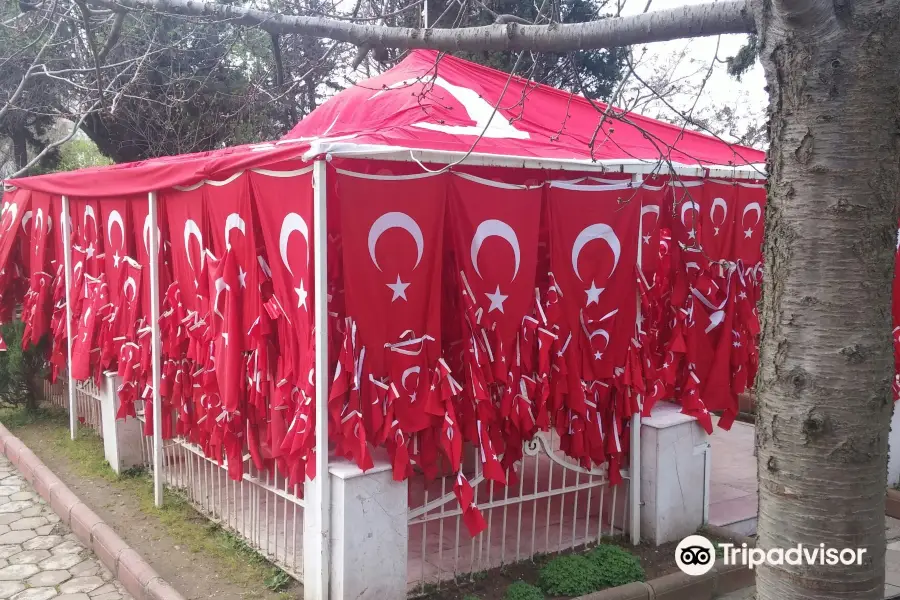 Flag Baba Tomb