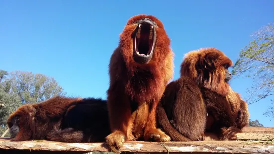 サプカイア・ド・スル動物園公園