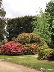 Colac Botanic Gardens