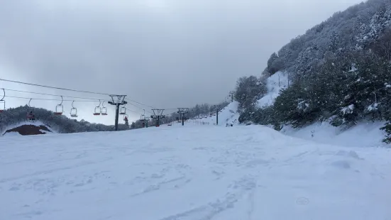 朽木スキー場