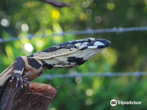 Alexandra Park Zoo