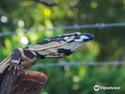 Alexandra Park Zoo
