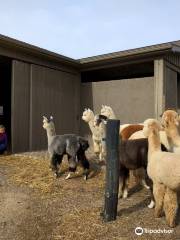 Long Acres Alpaca Farm